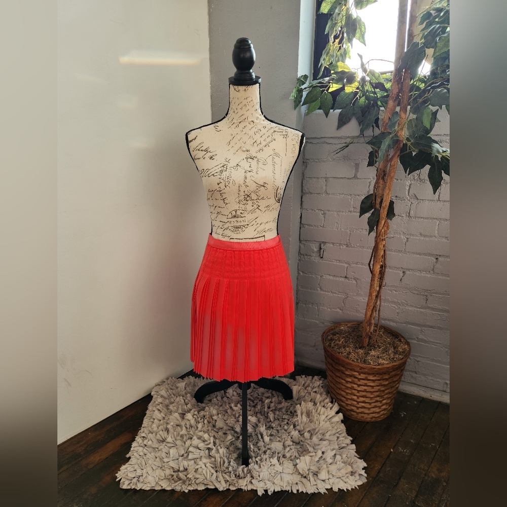 Elegant ZARA Pleated Skirt